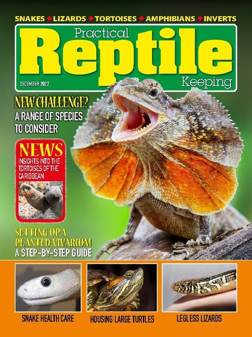 Cover image for Practical Reptile Keeping